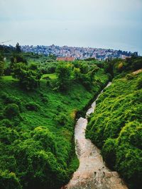 High angle view of trees and plants against sky