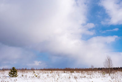 Scenic view of snow field against sky