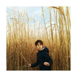 Boy standing amidst crops on field