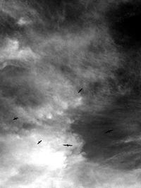 Low angle view of bird flying against cloudy sky