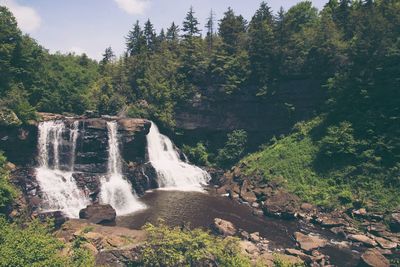 Scenic view of waterfall in forest