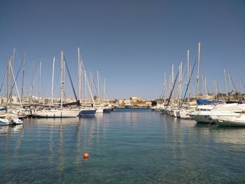 Sailboats moored in sea against clear sky