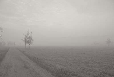 Scenic view of field against sky during foggy weather