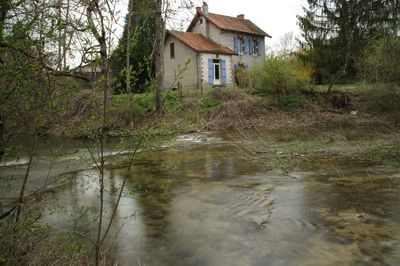 House by river amidst trees and plants in forest