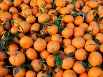 High angle view of fruits for sale at market stall