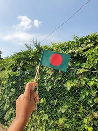 Cropped hand holding bangladeshi flag against sky during mother languages day