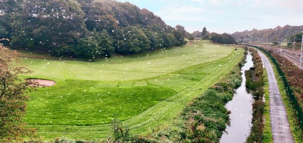 Panoramic shot of trees on field against sky