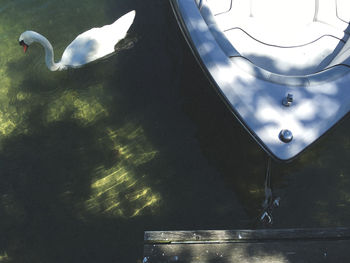 Close-up of swans swimming in water