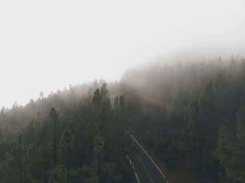 Panoramic shot of trees on landscape against sky