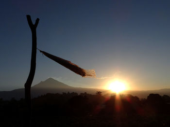 Silhouette plants against sky during sunset