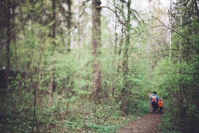 Full length of woman standing in forest