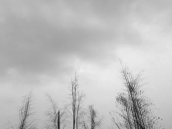 Low angle view of bare tree against cloudy sky