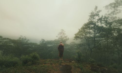 Rear view of monk standing in forest