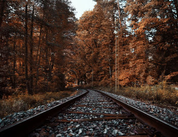 Railroad tracks amidst trees in forest during autumn