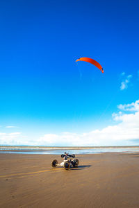 Person paragliding on beach against blue sky