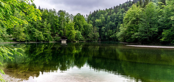 Scenic view of lake by trees against sky