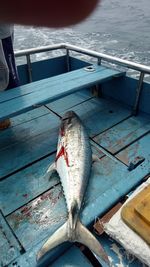 Fishing on sea in indonesia