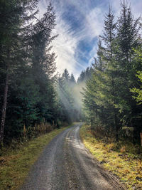 Empty road amidst trees against sky