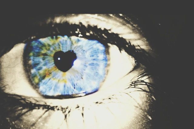 close-up, human eye, eyesight, indoors, eyelash, circle, sensory perception, extreme close-up, part of, eyeball, unrecognizable person, iris - eye, detail, reflection, extreme close up, selective focus, lifestyles