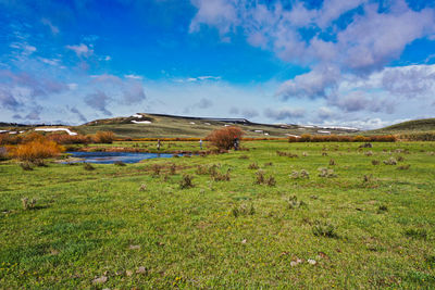 Scenic view of field against sky