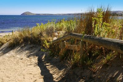 Scenic view of beach against clear sky