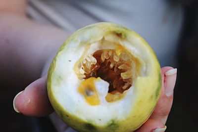 Close-up of woman holding passion fruit