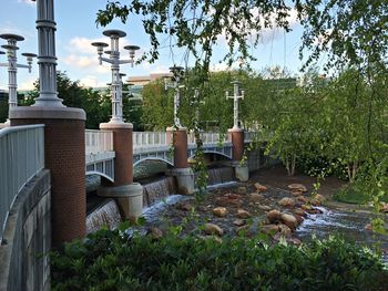 Plants by building in city against sky