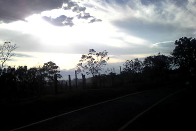 Silhouette of trees against cloudy sky