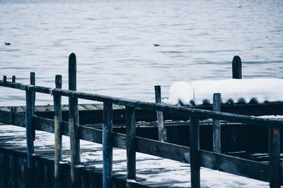 Seagull on wooden post in sea