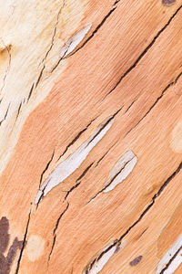 Full frame shot of weathered wood