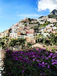 View of flowering plants in town against sky