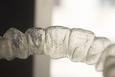 Close-up of human hand