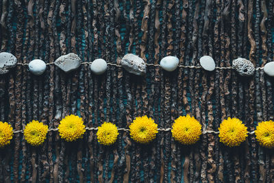 Close-up of yellow flowers by rocks on table