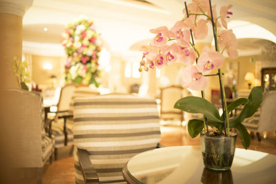 Close-up of potted plant on table in restaurant