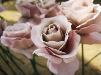 Close-up of rose bouquet