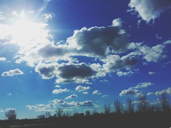 Low angle view of trees against blue sky