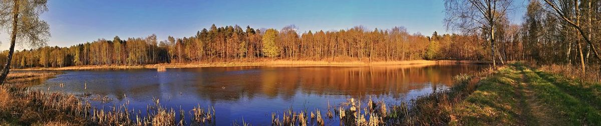 Scenic view of lake in forest against sky