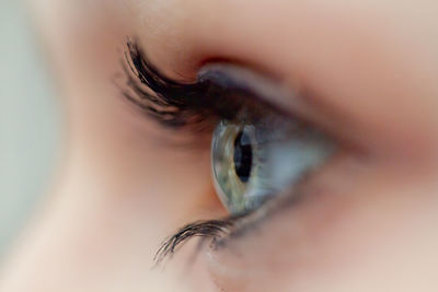 Extreme close-up of woman eye