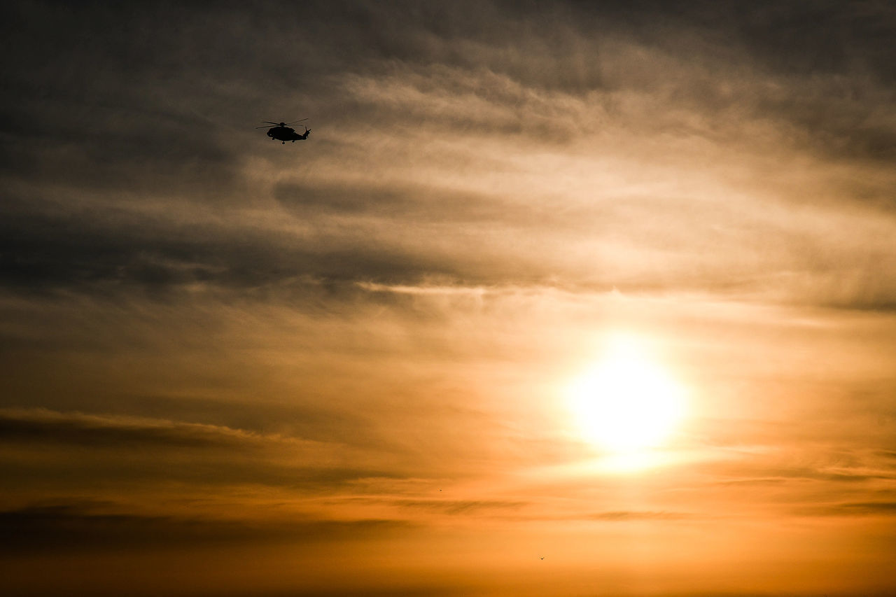 SILHOUETTE BIRD FLYING IN SKY