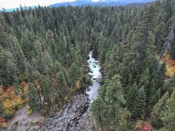 Scenic view of waterfall in forest against sky