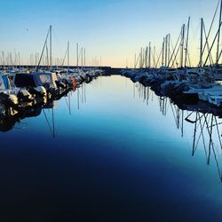 Sailboats moored in harbor