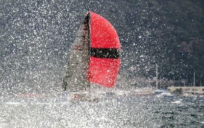 Close-up of red umbrella
