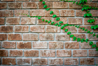 Full frame shot of brick wall