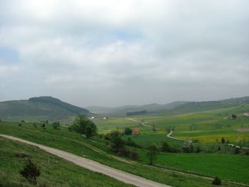 Scenic view of landscape against sky