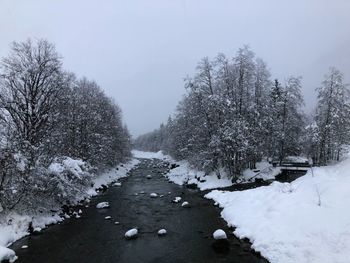 Snow covered plants by trees against sky