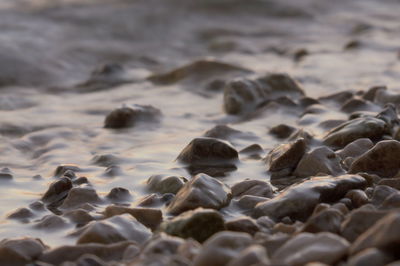 Surface level of rocks at beach