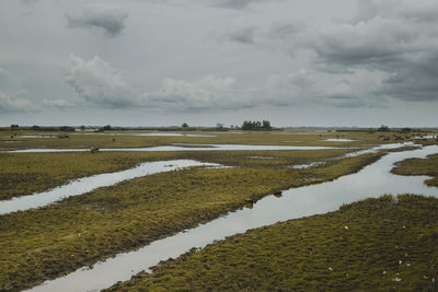 Scenic view of agricultural field against sky