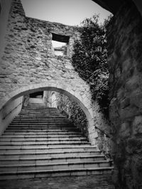 Steps amidst trees against sky