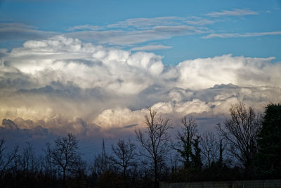 Low angle view of silhouette trees against sky