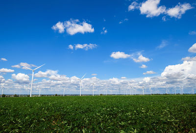 Landscape of windmills for electric power production in cassava field on blue sky 